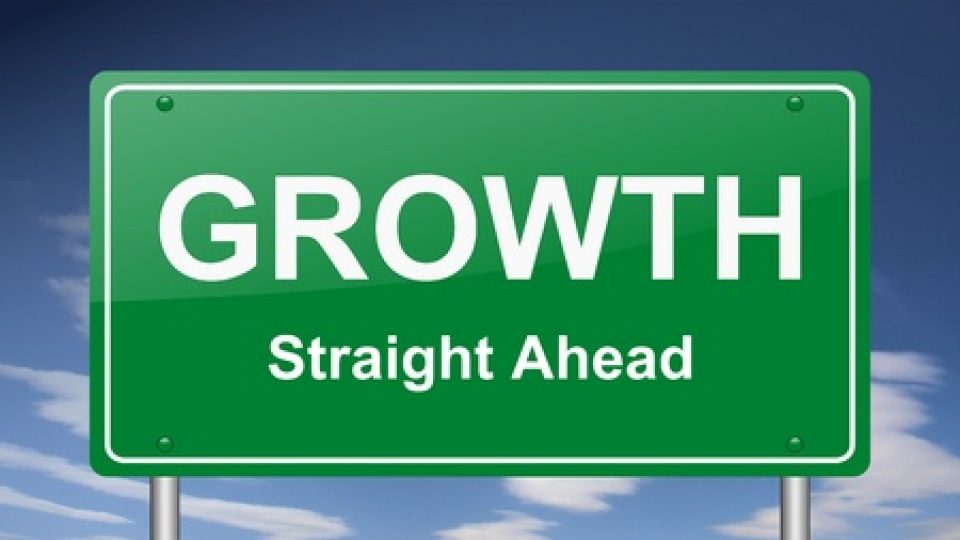 Document Your Business for Sustained Growth